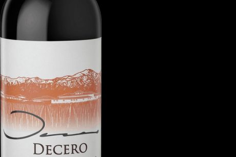 DECERO MALBEC REMOLINOS VINEYARD