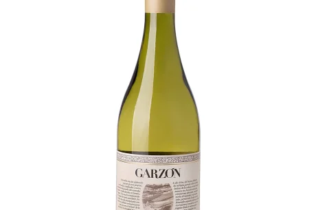 GARZON RESERVA ALBARINO