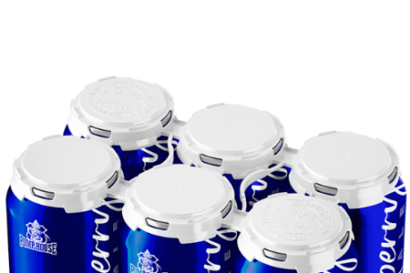PUMPHOUSE BLUEBERRY ALE 6PK C