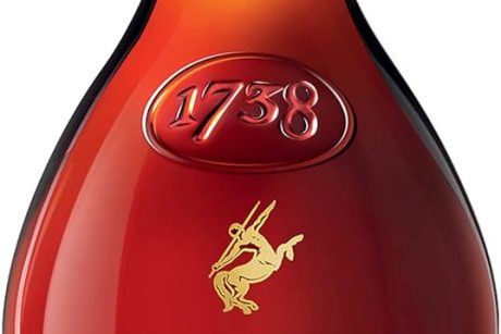 REMY MARTIN 1738